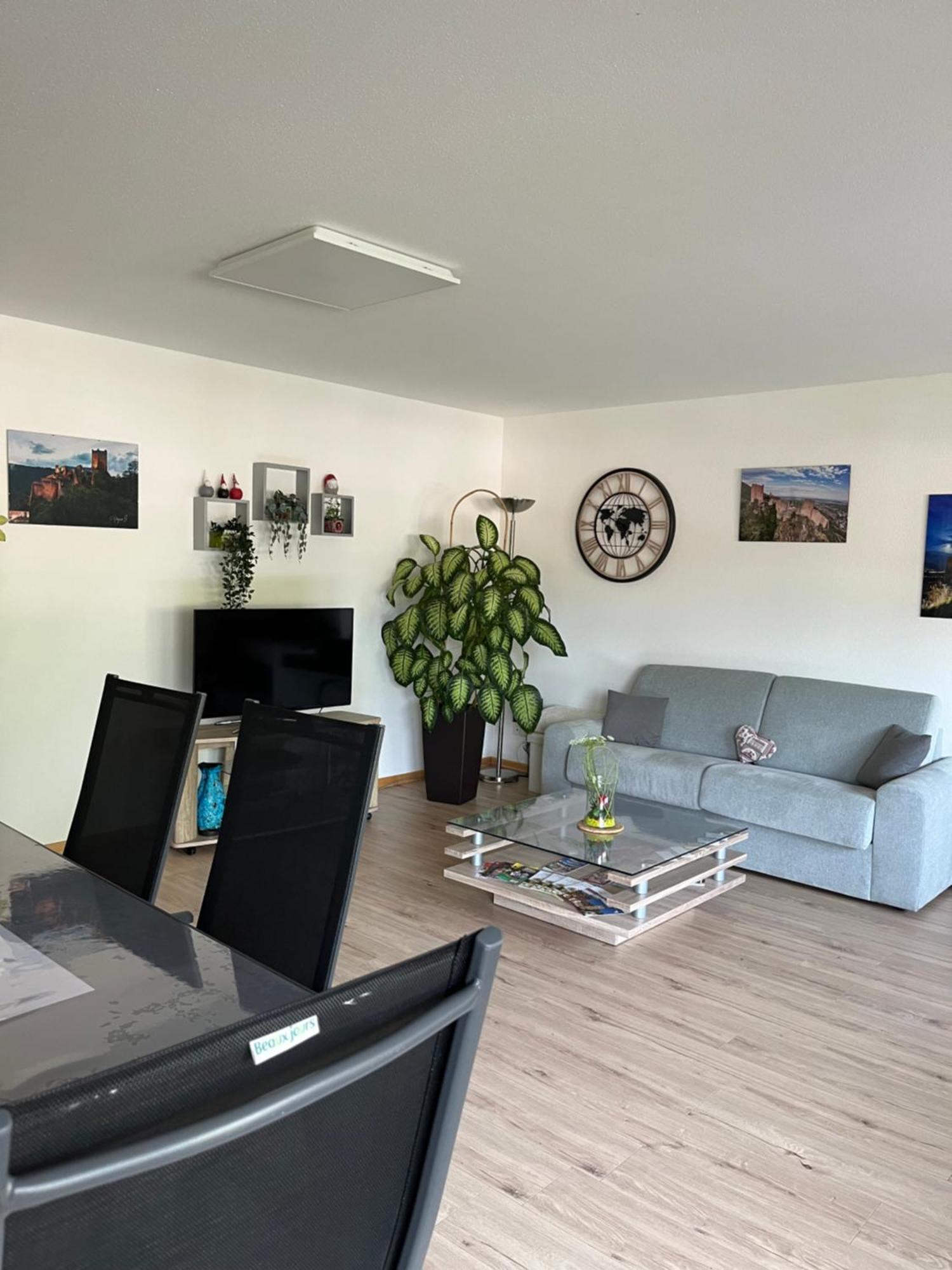 L'Aiglon Appartement Ribeauvillé Buitenkant foto