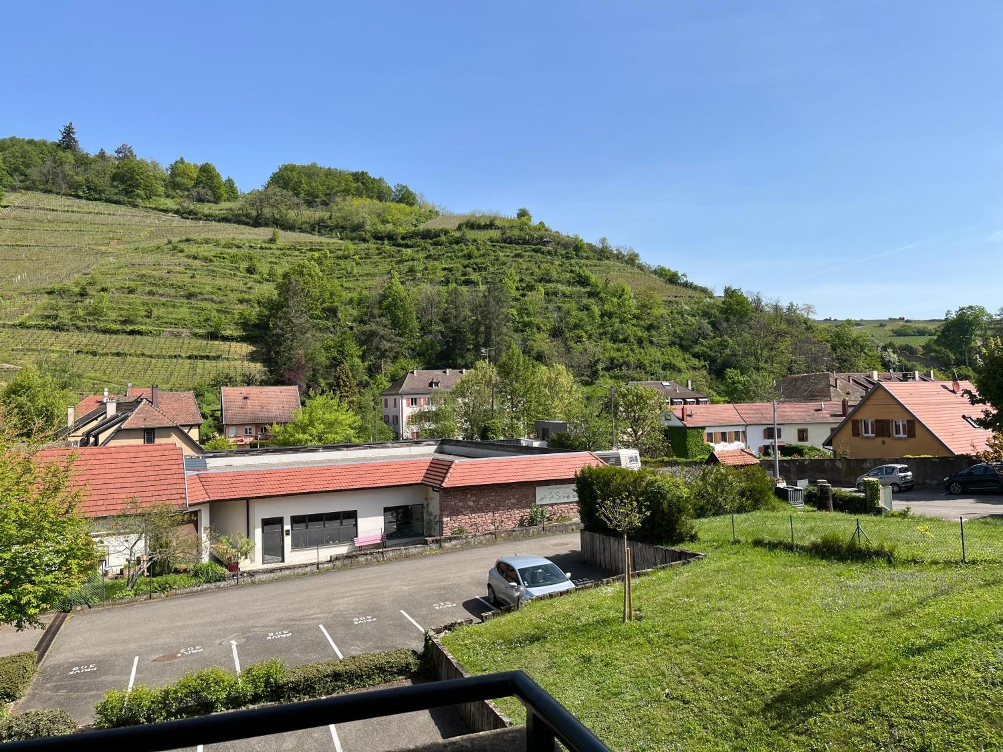 L'Aiglon Appartement Ribeauvillé Buitenkant foto